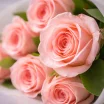 Высокие розовые розы (70 см) 3